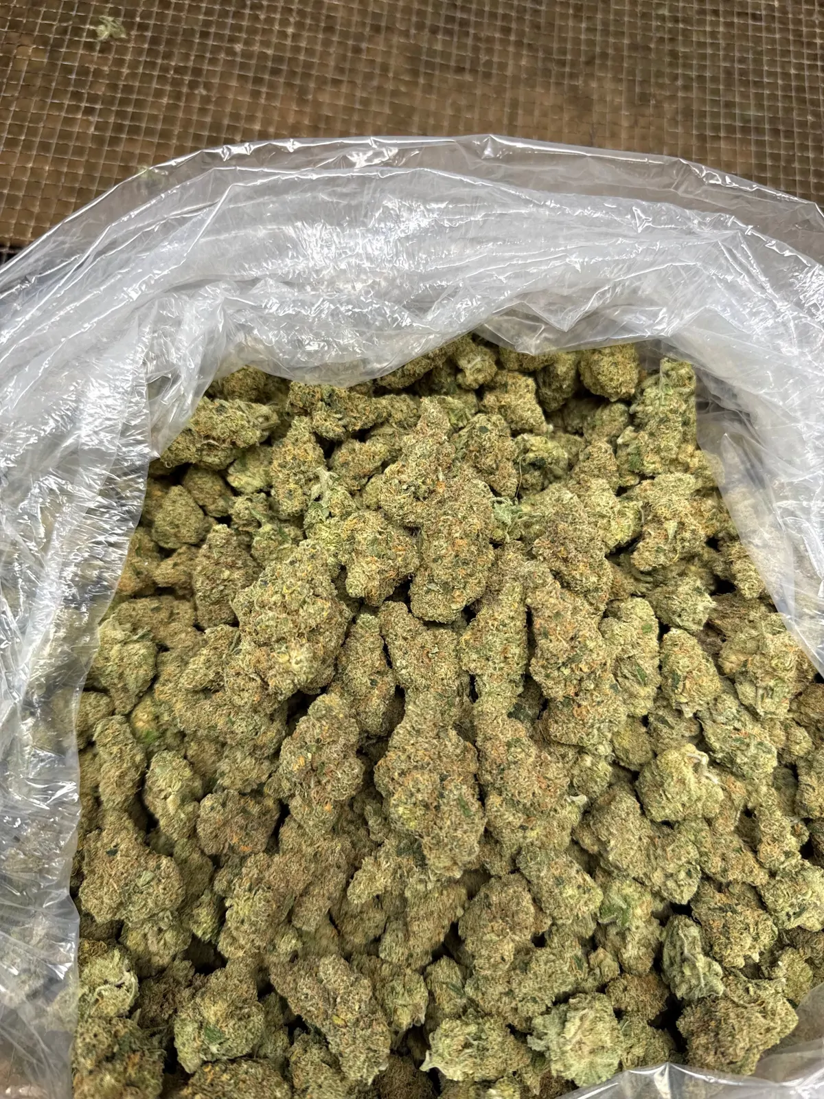 Pineapple Treat Flower